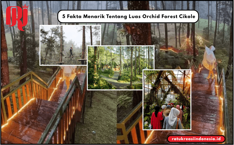 5 Fakta Menarik Tentang Luas Orchid Forest Cikole