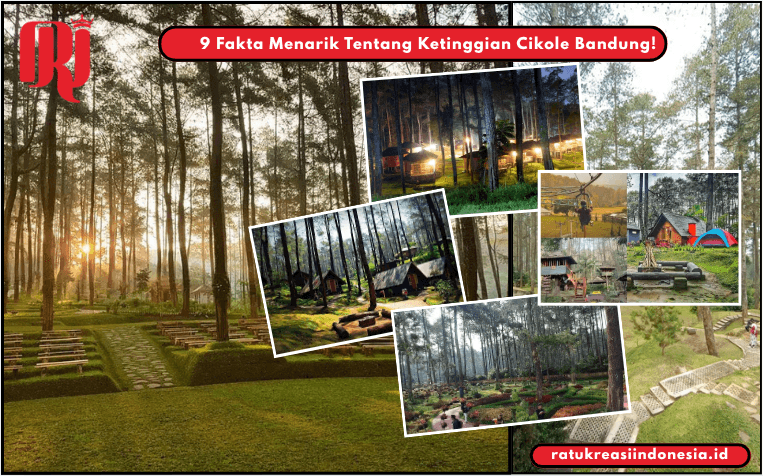 9 Fakta Menarik Tentang Ketinggian Cikole Bandung!