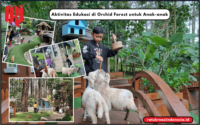 Aktivitas Edukasi di Orchid Forest untuk Anak-anak