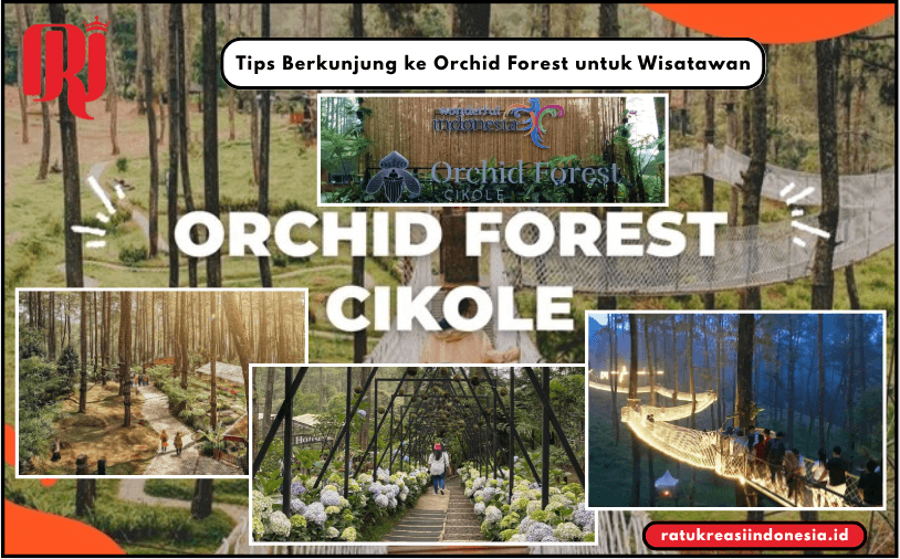Tips Berkunjung ke Orchid Forest untuk Wisatawan