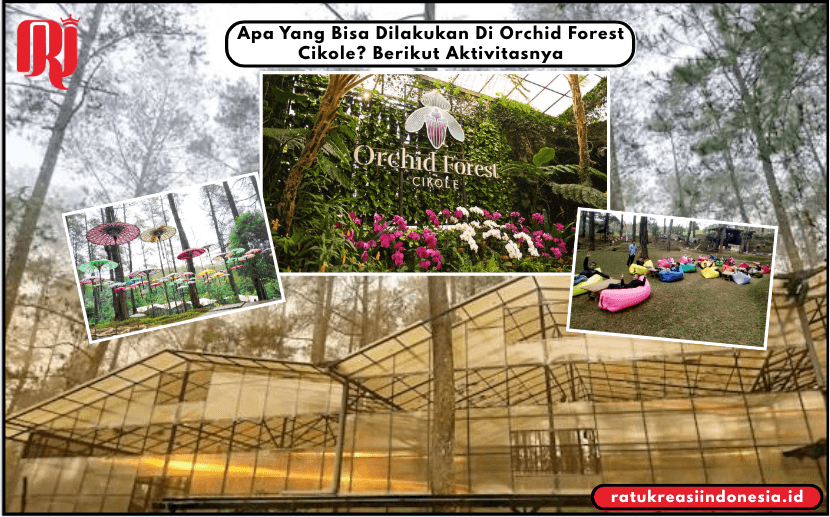 Apa Yang Bisa Dilakukan Di Orchid Forest Cikole? Berikut Aktivitasnya