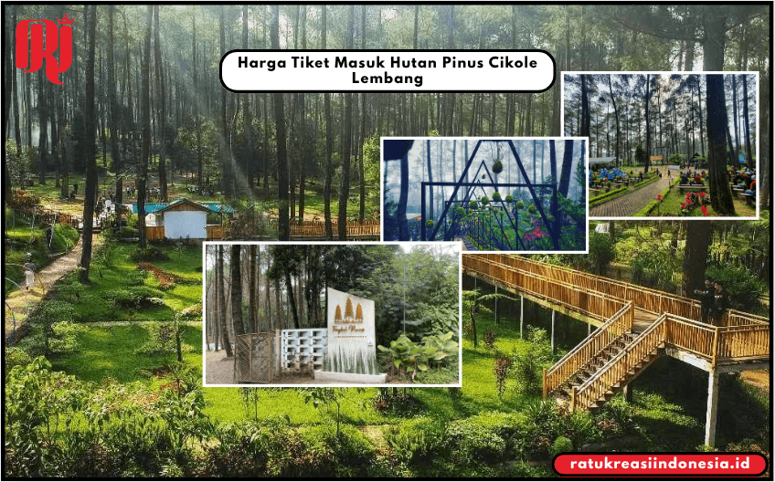 Harga Tiket Masuk Hutan Pinus Cikole Lembang