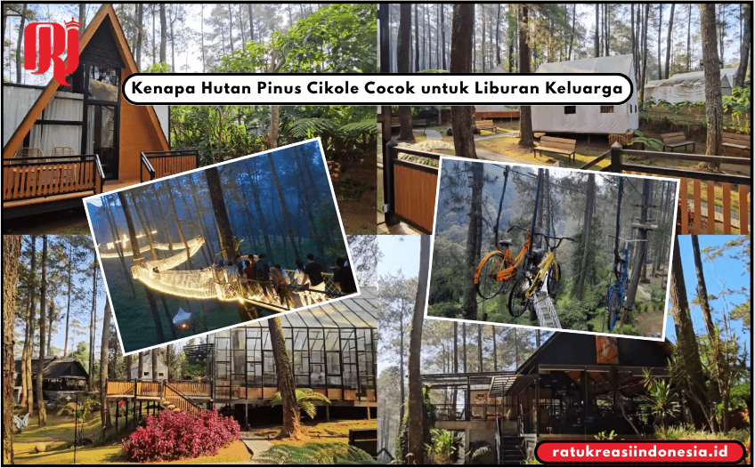 Kenapa Hutan Pinus Cikole Cocok untuk Liburan Keluarga