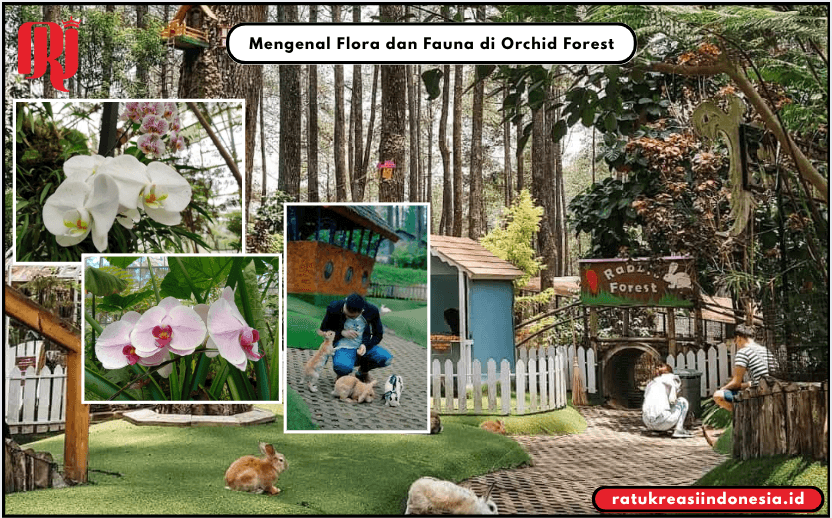 Mengenal Flora dan Fauna di Orchid Forest