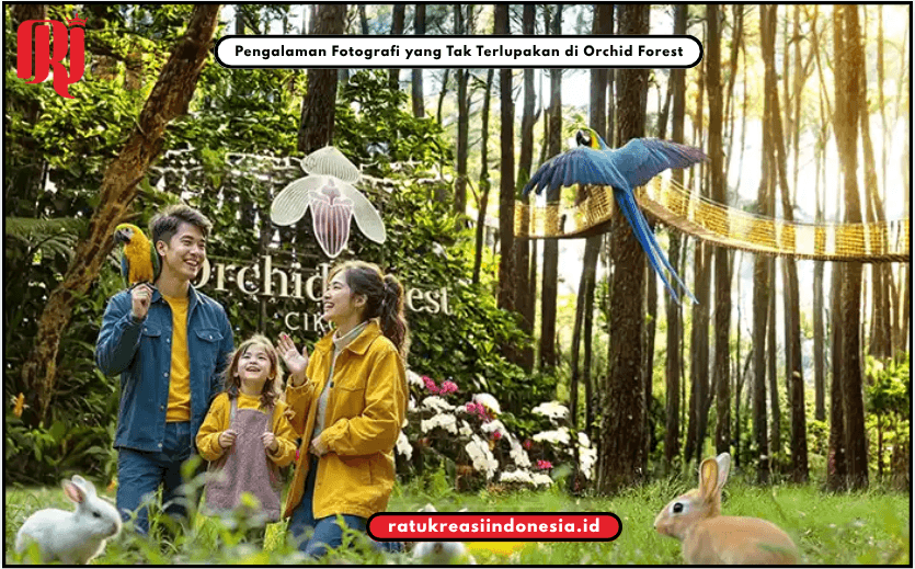 Pengalaman Fotografi yang Tak Terlupakan di Orchid Forest