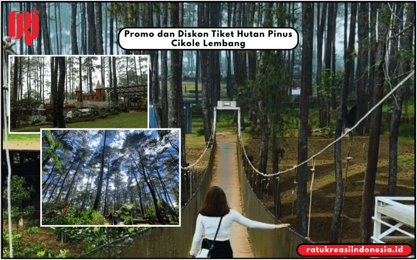 Promo dan Diskon Tiket Hutan Pinus Cikole Lembang