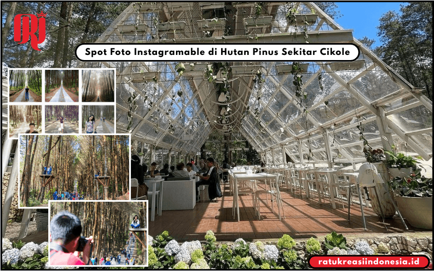 Spot Foto Instagramable di Hutan Pinus Sekitar Cikole