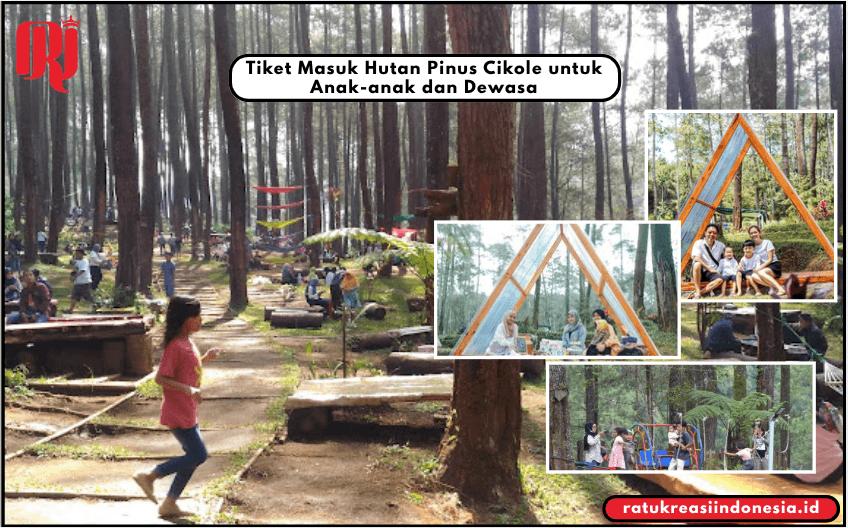 Tiket Masuk Hutan Pinus Cikole untuk Anak-anak dan Dewasa